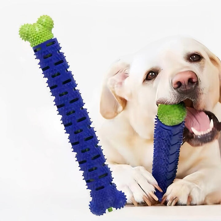 ¡Descubre el Cepillo Dental Antisarro para Mascotas: Sonrisas Saludables y Radiantes! 🐾